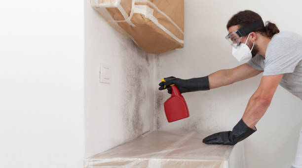 Professional Mold Cleanup technician working in Lakewood, NY
