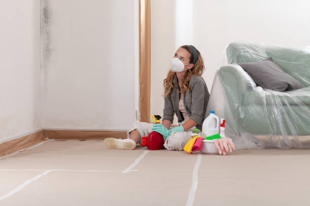 Reliable Mold Cleanup contractor in Lakewood, NY by Cheap Mold Removal